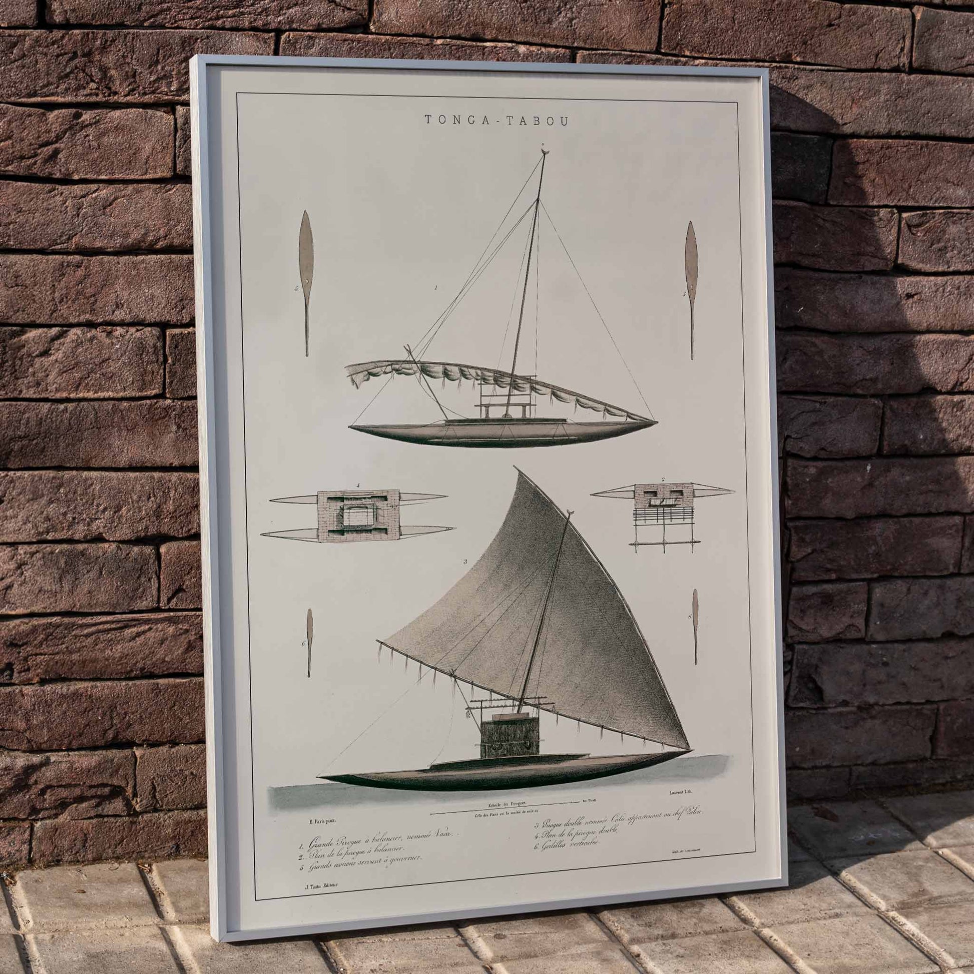 J. Tastu Tonga-Tabou poster with detailed pirogues of chief Palou, rigging studies, and antique nautical drawings in soft grey and beige tones, framed and displayed in home decor