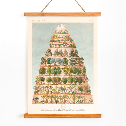 , with wooden magnetic frame on white background